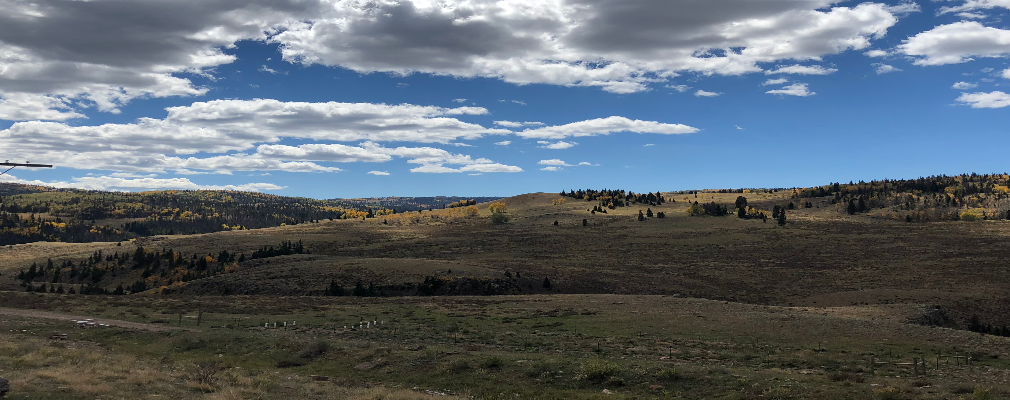 Kendall Profile Image