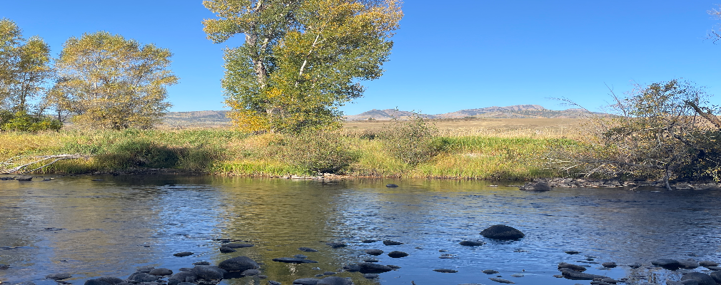 Dashboard Profile Image