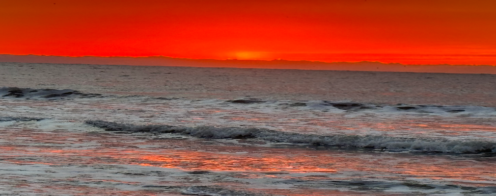 Charity Profile Image