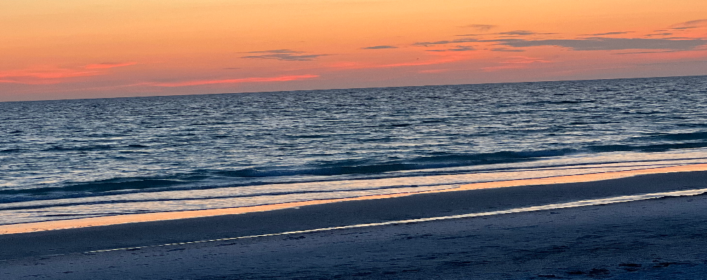 Patrick Profile Image