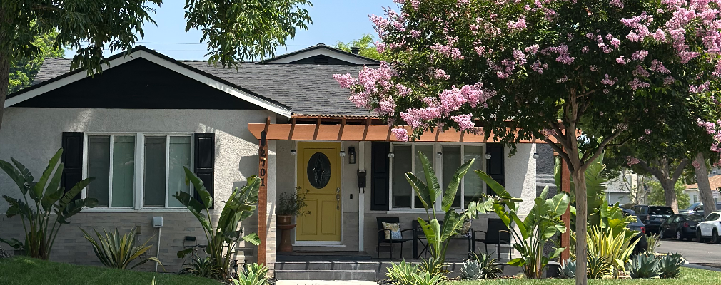 Vladyslava Lisnykh Profile Image