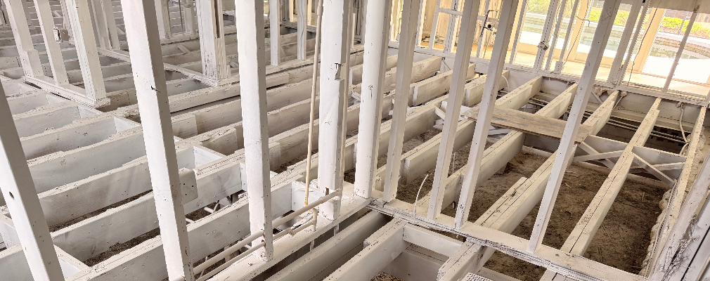 Steven Rivera Profile Image