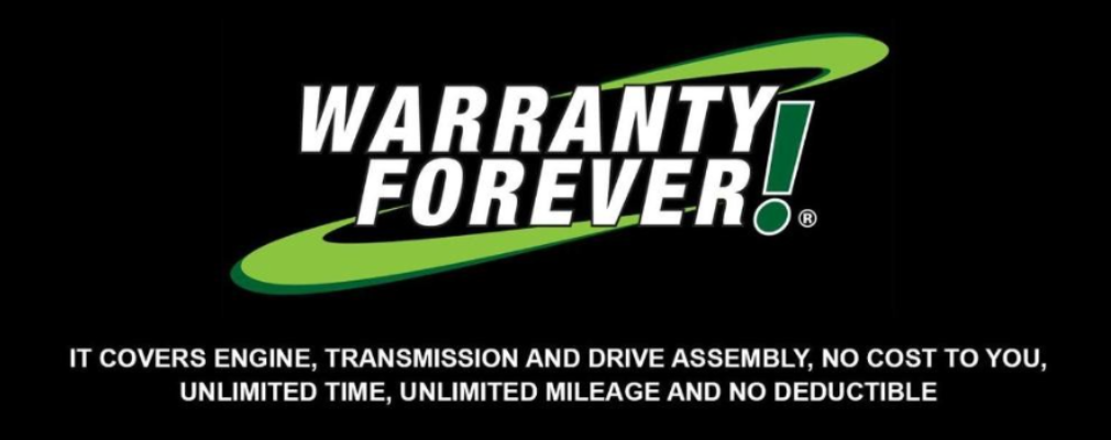 Amir Malekian Profile Image