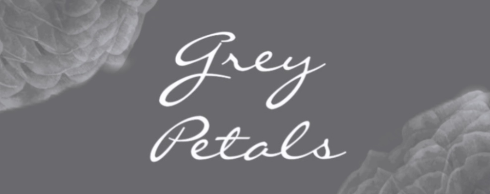 Diana Veras Profile Image