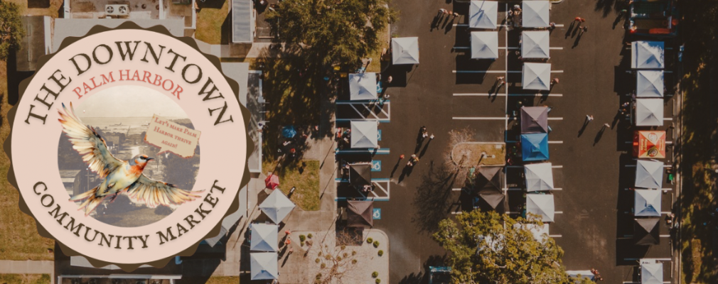 Ashleigh King Profile Image