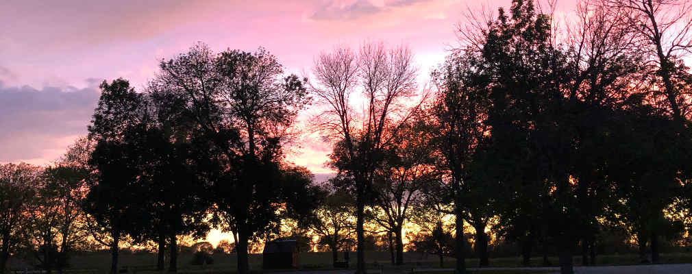 Cliff Barker Profile Image