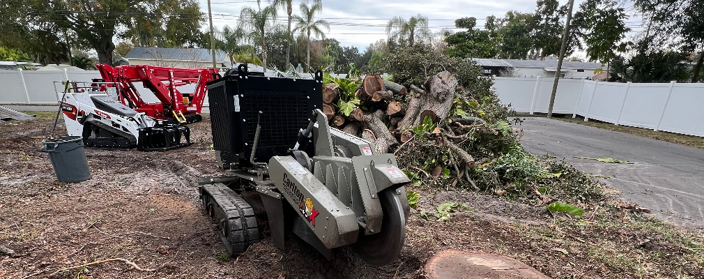 Anthony Riccelli Profile Image